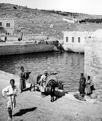 Palestine: Palestinian men with donkeys at David s Pool, Hebron Al Khalil, c. 1910 Palestine (Arabic: ÙÙ Ø³Ø·ÙäÙÜŽ Filasá¹­Ä«n, Falasá¹­Ä«n, Filisá¹­Ä«n; Greek: Î Î±Î»Î±Î¹ÏƒÏ Î¯Î½Î·, PalaistinÄ ; Latin: Palaestina; Hebrew: ×¤×œ× ×ª×™× × Palestina) is a name given to the geographic region between the Mediterranean Sea and the Jordan River. The region is also known as the Land of Israel (Hebrew: ××¨×¥Ö¾×™× ×¨××œ Eretz-Yisra el), the Holy Land and the Southern Levant.<br ><br > In 1832 Palestine was conquered by Muhammad Ali s Egypt, but in 1840 Britain intervened and returned control of the Levant to the Ottomans in return for further capitulations. The end of the 19th century saw the beginning of Zionist immigration and the Revival Copyright: xxPicturesxFromxHistoryx