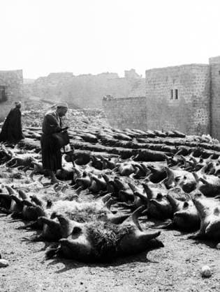 Palestine: A water-skin tannery, c. 1910 Palestine (Arabic: ÙÙ Ø³Ø·ÙäÙÜŽ Filasá¹­Ä«n, Falasá¹­Ä«n, Filisá¹­Ä«n; Greek: Î Î±Î»Î±Î¹ÏƒÏ Î¯Î½Î·, PalaistinÄ ; Latin: Palaestina; Hebrew: ×¤×œ× ×ª×™× × Palestina) is a n ame given to the geographic region between the Mediterranean Sea and the Jordan River. The region is also known as the Land of Israel (Hebrew: ××¨×¥Ö¾×™× ×¨××œ Eretz-Yisra el), the Holy Land and the Southern Levant.<br ><br > In 1832 Palestine was conquered by Muhammad Ali s Egypt, but in 1840 Britain intervened and returned control of the Levant to the Ottomans in return for further capitulations. The end of the 19th century saw the beginning of Zionist immigration and the Revival of the Hebrew language. The movement was pu Copyright: xxPicturesxFromxHistoryx
