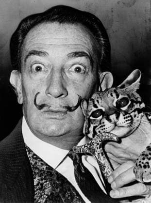 SALVADOR DALI (1904-1989). Spanish painter. Photographed with his pet ocelot, Babou. Photograph by Roger Higgins, 1965.  Copyright: xGRANGERx xGRANGERx 0325317