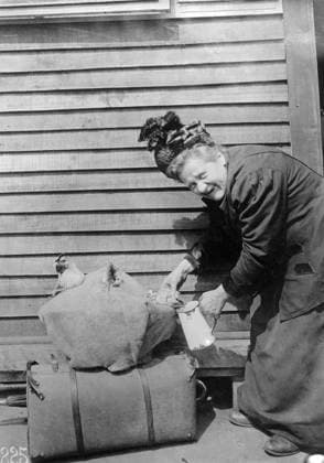 WWI: REFUGEE, 1918. A French refugee woman who fled her home with a suitcase and her two pet roosters, in front of the American Red Cross Refugee Hut in Paris, France. Photograph, 1918.  Copyright: xGRANGERx xGRANGERx 0528001