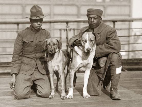 WWI: TROOPS, 1919. Private Robinson Cleve and Private Daniel Nelson, both wounded in action, returning home with their captured German dogs aboard the SS George Washington. Photograph, January 1919.  Copyright: xGRANGERx xGRANGERx 0528297