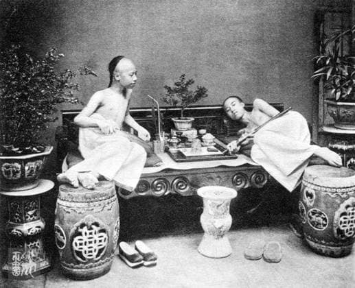 China: Opium smokers, Hong Kong, c. 1910 Opium poppy, Papaver somniferum, is the species of plant from which opium and poppy seeds are extracted. Opium is the source of many opiates, including morphine, thebaine, codeine, papaverine, and noscapine. The Latin botanical name means the sleep-bringing poppy , referring to the sedative properties of some of these opiates. Copyright: xxPicturesxFromxHistoryx