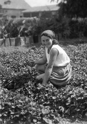 ISRAEL: AGRICULTURE, c1930. Student of a girls agricultural training school picking violets, Nahalal, Israel. Photograph, c1930.  Copyright: xGRANGERx xGRANGERx 0642380