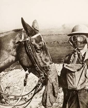 WWI: GAS MASK, c1917. A soldier and his horse wearing gas masks to protect against gas attacks. Photograph, c1917.  Copyright: xGRANGERx xGRANGERx 0642992