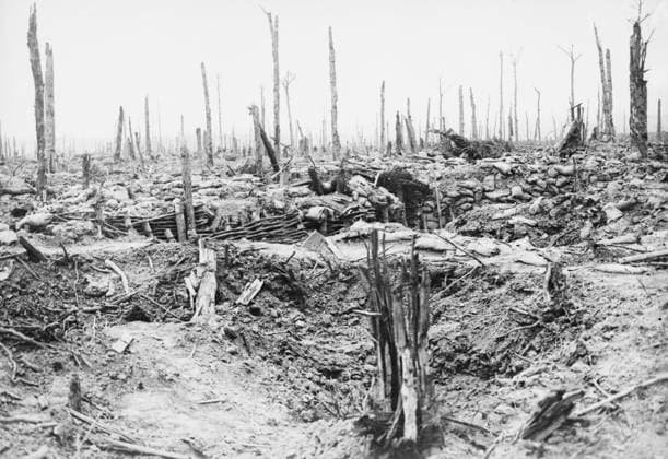 WWI: BATTLE OF MESSINES, 1917. The blasted landscape of Messines Ridge during the Battle of Messines in Flanders; a trench is visible amidst the shattered remnants of a forest. Photograph, June 1917.  Copyright: xGRANGERx xGRANGERx 0644679