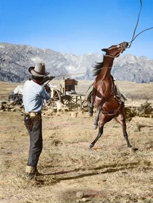 TEXAS: COWBOY, c1910. A cowboy holding a rope around the neck of a bucking bronco on a ranch in Texas. Photograph by Erwin Evans Smith, c1910.  Copyright: xGRANGERx xGRANGERx 0649232