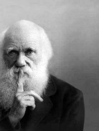 England UK: Charles Darwin (1809-1882), English naturalist, geologist and author of On the Origin of the Species (1859) Charles Robert Darwin, FRS (12 February 1809 19 April 1882) was an English naturalist and geologist, best known for his contributions to evolutionary theory. He established that all species of life have descended over time from common ancestors, and in a joint publication with Alfred Russel Wallace introduced his scientific theory that this branching pattern of evolution resulted from a process that he called natural selection, in which the struggle for existence has a similar effect to the artificial selection involved in selective breeding.<br ><br > Darwin published his theory of evolution with compelling evide Copyright: xxPicturesxFromxHistoryx