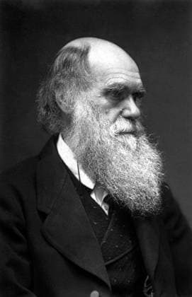 England UK: Charles Darwin (1809-1882), English naturalist, geologist and author of On the Origin of the Species (1859), Elliot and Fry, 1874 Charles Robert Darwin, FRS (12 February 1809 19 April 1882) was an English naturalist and geologist, best known for his contributions to evolutionary theory. He established that all species of life have descended over time from common ancestors, and in a joint publication with Alfred Russel Wallace introduced his scientific theory that this branching pattern of evolution resulted from a process that he called natural selection, in which the struggle for existence has a similar effect to the artificial selection involved in selective breeding. Darwin published his theory of evolution with comp Copyright: xxPicturesxFromxHistoryx