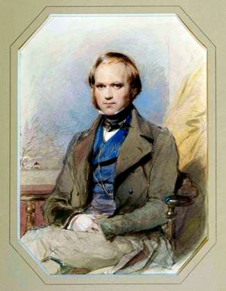 England UK: Charles Darwin (1809-1882) aged 31 years. Chalk and water-colour drawing by George Richmond (1809-96), 1840 Charles Robert Darwin, FRS (12 February 1809 19 April 1882) was an English naturalist and geologist, best known for his contributions to evolutionary theory. He established that all species of life have descended over time from common ancestors, and in a joint publication with Alfred Russel Wallace introduced his scientific theory that this branching pattern of evolution resulted from a process that he called natural selection, in which the struggle for existence has a similar effect to the artificial selection involved in selective breeding.<br ><br > Darwin published his theory of evolution with compelling evidenc Copyright: xxPicturesxFromxHistoryx