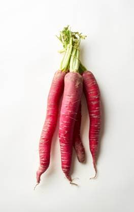 IMAGO Creative, Sommer, Food, Radieschen rettich,bund,rettiche,bündel,föderation,gebinde,homonym,koalition,konföderation,liga,pakt,union,vereinigung,zusammenschluss ** radish,bunch,radishs,bunchs 539-mzc
