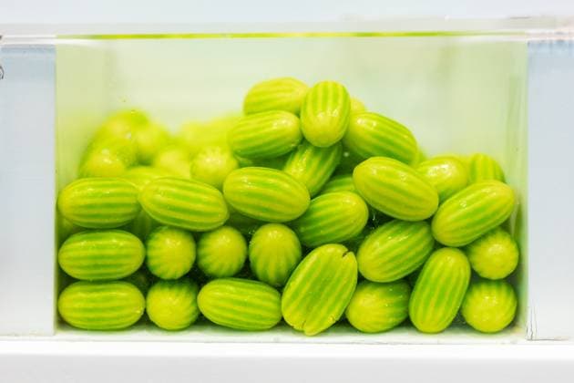 Bright green cucamelons neatly packed in a transparent glass container, viewed from the side against a white background Model Released HodeiUnzueta_ID20289_600326_005 Copyright: xHodeixUnzuetax RECORD DATE NOT STATED