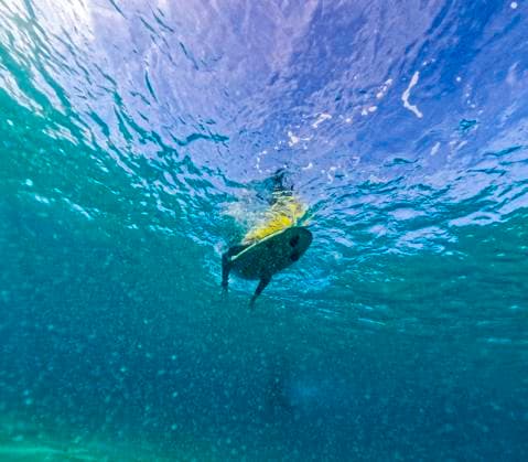 From below underwater perspective capturing a surfer paddling out to the waves in the clear blue waters off the coast of Fuerteventura. Model Released JuanAizpuru_ID20180_597216_013 Copyright: xJuanxAizpurux