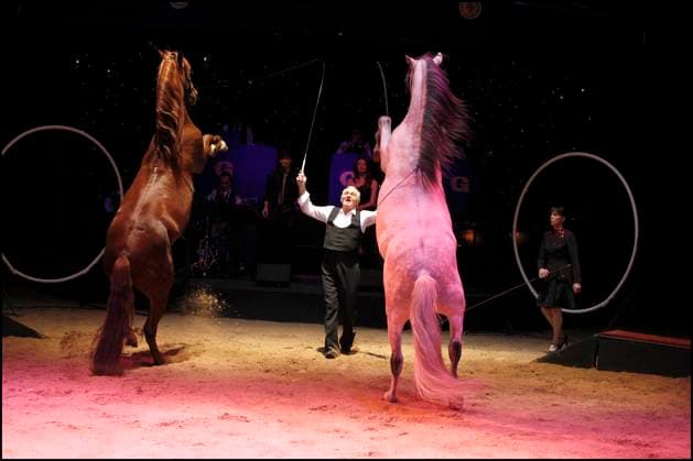 EXCLUSIF - ALEXIS GRUSS - GENERALE DU SPECTACLE MELODY DU CIRQUE GRUSS AU BOIS DE BOULOGNE A PARIS Paris France  Copyright: xOLIVIERxBORDEx xBESTIMAGExOLIVIERxBORDEx xBESTIMAGEx