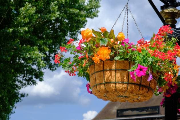 Colorful flower pot suspended in the air with small chains Colorful flower pot suspended in the air with small chains with the sky in the background Copyright: xZoonar.com IORDANISxPALLIKARASx 20826474