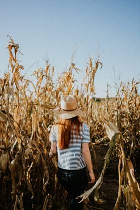 Creative Highlights Symbolbilder Young redhead woman facing away in a golden corn maze Cambridge, Iowa, United States CR_TLGH240408-1385784-01 ,model released, Symbolfoto