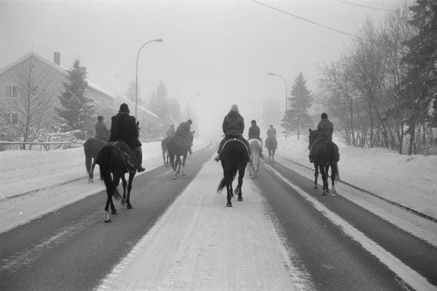 Aktuell 50-1-1973 : Den store stille helgen bilde 0009 Aktuell 50-1-1973 : Den store stille helgen Oljekrisen i 1973, det skulle spares 7500 tonn bensin ved kjoreforbudet fra kl, 15 lordag til kl. 02 mandag. -til og med hesten dukket fram, riktignok mest som et kuriosium. Dette bildet er fra Tveita i Oslo. Foto; Ivar Aaserud Aktuell NTB ***FOTO IKKE BILLEDBEHANDLET*** This text has been automatically translated! Oslo Norge EDITORIAL USE ONLY Ref:rbUgEoSLr6g.jpg *** Aktuell 50 1 1973 The big quiet weekend picture 0009 Aktuell 50 1 1973 The big quiet weekend The oil crisis in 1973, 7500 tons of gasoline was to be saved by the ban on driving from 15 
