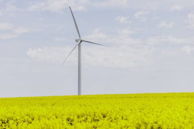 Ein Windrad in einem Rapsfeld, aufgenommen in Vierkirchen, 12.04.2024. Vierkirchen Deutschland *** A wind turbine in a rape field, photographed in Vierkirchen, 12 04 2024 Vierkirchen Germany Copyright: xFlorianxGaertnerxphotothek.dex