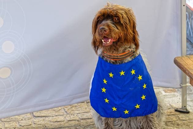 Europa. Unter dem Motto , Wir sind Europa , fand der Bayerische Europatag 2024 in Regensburg statt. Regensburg Bayern Deutschland *** Europe Under the motto , We are Europe , the Bavarian Europe Day 2024 took place in Regensburg Regensburg Bavaria Germany Copyright: xRolfxPossx