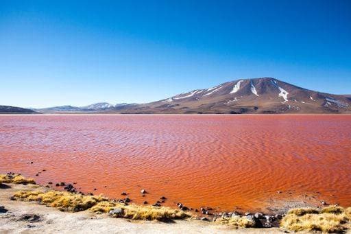 The beautiful view of Laguna Colorada. Bolivia 23458126 RECORD DATE NOT STATED