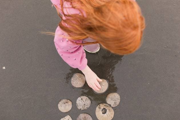 Creative Highlights Symbolbilder Redheaded girl with exploring sand dollars on the beach Seabrook, Washington, United States R_PXQG240415-1397255-01 ,model released, Symbolfoto