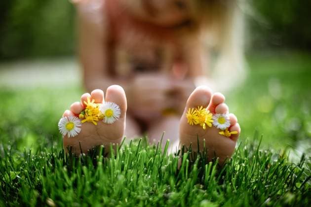 Creative Highlights Symbolbilder Wildflowers between little toes of child in grass McClure, Illinois, United States CR_WEKW240416-1404986-01 ,model released, Symbolfoto