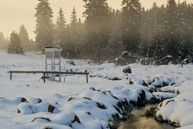 Meteorologists measured minus 10,6 degrees Celsius on the spring morning April 22, 2024 near Kvilda in the Sumava region of Prachatice, which is the one of lowest value in the country today. (CTKxPhoto VaclavxPancer) CTKPhotoP2024042201973  CTKPhotoP2024042201973