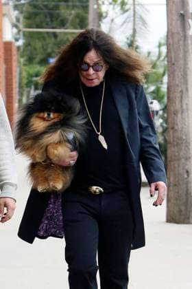 Ozzy Osbourne hides beneath his hair as he steps out with one of his many dogs in LA amid reports that he and wife Sharon are splitting up after 33 years of marriage 151648, Ozzy Osbourne hides beneath his hair as he steps out with one of his many dogs in LA amid reports that he and wife Sharon are splitting up after 33 years of marriage. According to The Sun of London, Ozzy Osbourne and Sharon Osbourne are getting divorced after 33 years together because she believes he has been cheating on her with a much younger celebrity stylist Michelle Pugh. The pair split previously on their 32nd wedding anniversary due to drug and booze issues, but have reconciled after Ozzy received treatment for the abuse. Los Angeles, California - Monday May 9, 2  Copyright: xPacificCoastNewsx xAvalonx 0532359726