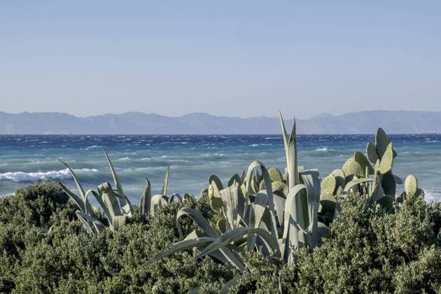 Kalendermotive: Kakteen Mediterranean Sea off the west coast of Rhodes, in the background the coast of Turkey, Rhodes, Dodecanese archipelago, Greece, Europe *** Mediterranean Sea off The WEST Coast of Rhodes, in The Background The Coast of Turkey, Rhodes, dodecanese archipelago, Greece, Europe Copyright: imageBROKER AnnaReinert ibxann10483615.jpg