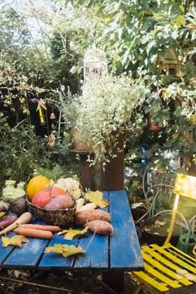 IMAGO Creative: Sommer, Sommertage im Garten Vegetables lying on garden table property released, HHF05967