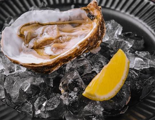 Fresh french appetizer oysters on ice with lemon Fresh french appetizer oysters on ice with lemon Copyright: xZoonar.com AntonxDobreax 21378199