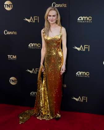 April 27, 2024, Hollywood, California, USA: Nicole Kidman attends the 49th Annual AFI Life Achievement Award Honoring Nicole Kidman. Hollywood USA - ZUMAb173 20240427_aap_b173_015 Copyright: xBillyxBennightx
