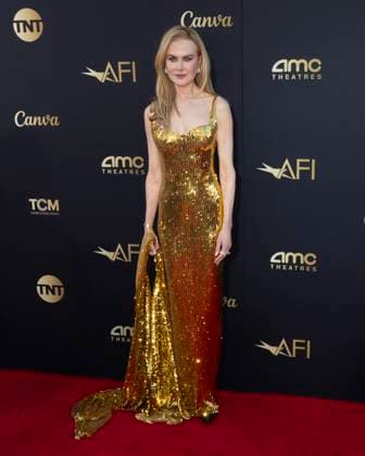 April 27, 2024, Hollywood, California, USA: Nicole Kidman attends the 49th Annual AFI Life Achievement Award Honoring Nicole Kidman. Hollywood USA - ZUMAb173 20240427_aap_b173_030 Copyright: xBillyxBennightx