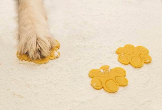 Dog chef makes cookies from dough in the kitchen Dog chef makes cookies from dough in the kitchen. Copyright: x RECORD DATE NOT STATED