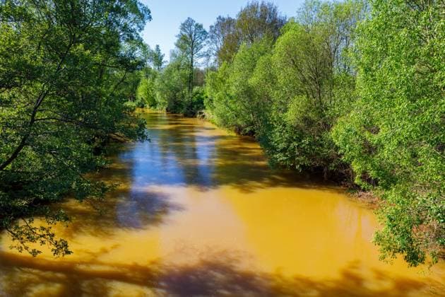 Braune Spree - Spreeverockerung bei Spremberg DEU Deutschland Brandenburg Spremberg, 30.04.2024, Braune Spree - Verockerung der Spree bei Spremberg - Uferbereiche und Pflanzen in der Spree bei Trattendorf (Spremberg) sind mit Ockerschlamm und rotbraunen Ablagerungen ueberzogen. *** Braune Spree Spreeverockerung bei Spremberg DEU Germany Brandenburg Spremberg, 30 04 2024, Braune Spree Verockerung der Spree bei Spremberg Uferbereiche und Pflanzen in der Spree bei Trattendorf Spremberg sind mit Ockerschlamm und rotbraunen Ablagerungen überverzogen AF_Spree_Spremberg_67635.jpeg