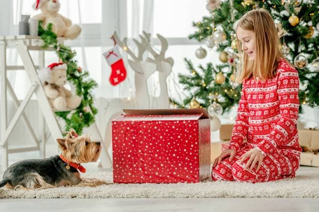 Child in Christmas time Child girl unpacks Christmas red gift box at home with cute dog. Kid celebrating New Year with presents and looking at doggy pet Copyright: x RECORD DATE NOT STATED