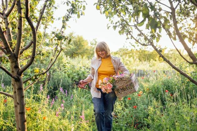 IMAGO Creative: Sommer, Sommertage im Garten An elderly smiling woman collects wildflowers in a wicker basket An elderly smiling woman collects wildflowers in a wicker basket. An aged positive female pensioner in casual clothes collects medicinal herbs. A beautiful blooming green garden in summer. ,model released, Symbolfoto Copyright: xZoonar.com DashaxPetrenkox 21583267 ,model released, Symbolfoto ,property released