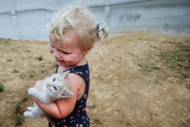 Creative Highlights Symbolbilder Smiling child tenderly holding a white kitten Oak Ridge, Missouri, United States CR_WEKW240501-1419622-01 ,model released, Symbolfoto