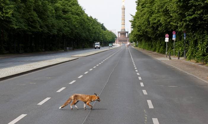 Germany, Berlin, construction of the Fan Mile, Straße des 17 Juni closed for almost three months