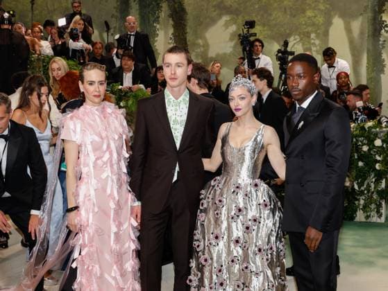 Sarah Paulson, Harris Dickinson, Amanda Seyfried and Damson Idris arrive on the red carpet at the 2024 Met Gala celebrating Sleeping Beauties: Reawakening Fashion at The Metropolitan Museum of Art on Monday, May 6, 2024 in New York City.  NYP20240506297 JOHNxANGELILLO