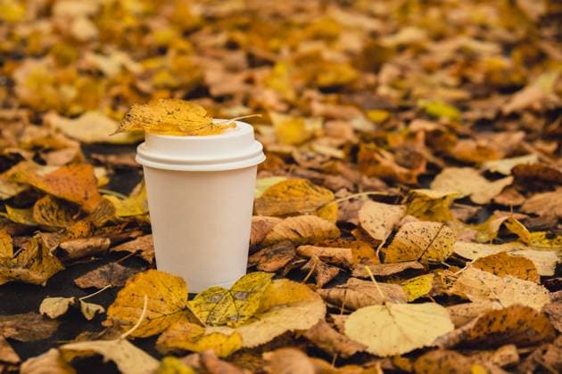 Eco zero waste white paper cup copy space mockup. Fall leaves and cup of tea coffee to go next to autumn nature. Unite with nature Eco zero waste white paper cup copy space mockup. Fall leaves and cup of tea coffee to go next to autumn nature. Unite with nature cottagecore Copyright: x RECORD DATE NOT STATED