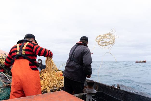 Two fishermen throwing nets to catch lobsters in the sea Two fishermen throwing nets to catch lobsters in the sea standing on a boat Model Released MiguelSerrano_ID21434_630595_002 Copyright: xx