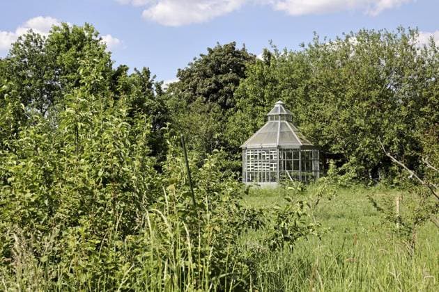 IMAGO Creative: Garten, Anbau im Gewächshaus Grüne Oasen in der Stadt - Reportage im Naturgarten der Bonnekampstiftung ** NUR FÜR REDAKTIONELLE ZWECKE ** EDITORIAL USE ONLY **<p>Ein gewächshaus der Bonnekampstiftung posiert am 14. Mai 2024 im Naturgarten der Bonnekampstiftung in Essen-Katernberg. Deutschland NRW Essen Copyright: ChristofxKöpsel *** Green oases in the city Reportage in the Bonnekamp Foundation nature garden FOR EDITORIAL PURPOSES ONLY EDITORIAL USE ONLY p A Bonnekamp Foundation greenhouse poses in the Bonnekamp Foundation nature garden in Essen Katernberg Germany NRW Essen Copyright ChristofxKöpsel on May 14, 2024 Copyright: ChristofxKöpsel doc7vfbbhamky09fbpz468 ,EDITORIAL USE ONLY