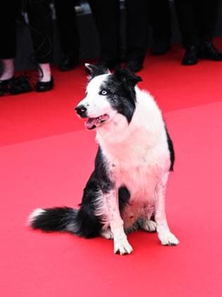 Cannes, 77th Cannes Film Festival 2024 - opening red carpet and the film Le Deuxieme Acte. In the photo Messi,  Copyright: xSimonexComix xipa-agency.netx xPoolxPhotoxEventsx03x IPA_Agency_IPA46058493