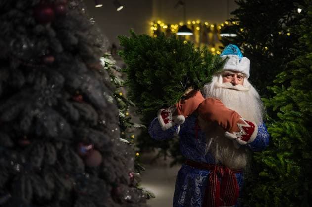 Russian santa claus buys a christmas tree in the store. Russian santa claus buys a christmas tree in the store Copyright: x RECORD DATE NOT STATED