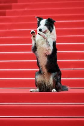 77th International Cannes Film Festival Opening Red carpet Festival de Cannes 2024 77e Ã dition ceremonie dOuverture Le deuxieme acte Messi 304910 2024 05 14 Cannes France  Copyright: xLionelxGuericolas MPPx STAR_304910_001