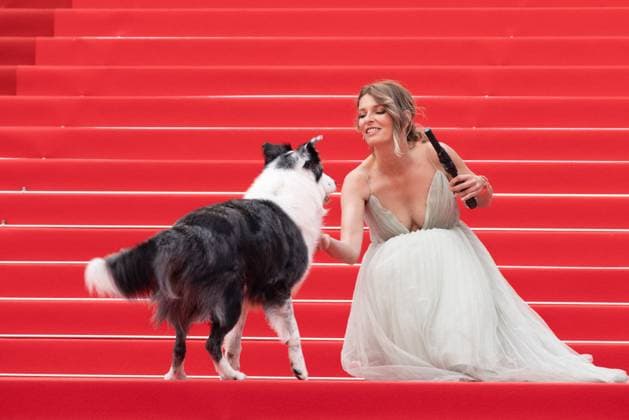 Cannes Opening Ceremony DB Messi the dog attends Le DeuxieÌÄme Acte ( The Second Act ) Screening & opening ceremony red carpet at the 77th annual Cannes Film Festival at Palais des Festivals on May 14, 2024 in Cannes, France. attend Le DeuxieÌÄme Acte ( The Second Act ) Screening & opening ceremony red carpet at the 77th annual Cannes Film Festival at Palais des Festivals on May 14, 2024 in Cannes, France. Photo by David Boyer ABACAPRESS.COM Cannes France  Copyright: xBoyerxDavid ABACAx