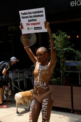 Mexiko, Protest gegen Fleischkonsum vor einem Restaurant in Mexiko-Stadt Activist and Model Atiya, holds a placard with the slogan All bodies have the same parts as show her naked body painted with a diagram of the different types of cuts of meat outside an Argentine restaurant, during a peaceful protest, organized by Peta and Animal Heroes, to raise awareness about not consuming foods that contain meat. Mexico City Mexico - ZUMAe321 20240514_zia_e321_014 Copyright: xLuisxBarronx