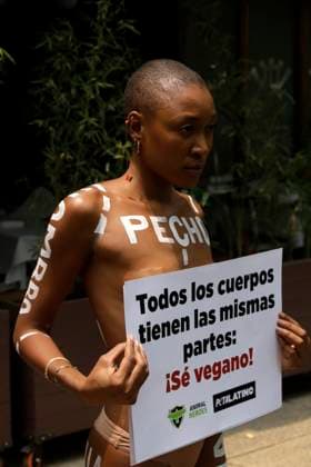 Mexiko, Protest gegen Fleischkonsum vor einem Restaurant in Mexiko-Stadt Activist and Model Atiya, holds a placard with the slogan All bodies have the same parts as show her naked body painted with a diagram of the different types of cuts of meat outside an Argentine restaurant, during a peaceful protest, organized by Peta and Animal Heroes, to raise awareness about not consuming foods that contain meat. Mexico City Mexico - ZUMAe321 20240514_zia_e321_017 Copyright: xLuisxBarronx