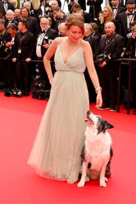 May 14, 2024: Laura Martin Contini and Messi the dog attends the premiere of Le Deuxieme Acte ( The Second Act ) and opening ceremony of the 77th Cannes Film Festival at Palais des Festivals in Cannes, France, on 14 May 2024. Photo: - ZUMAm179 20240514_zep_m179_076 Copyright: xAlecxMichaelx