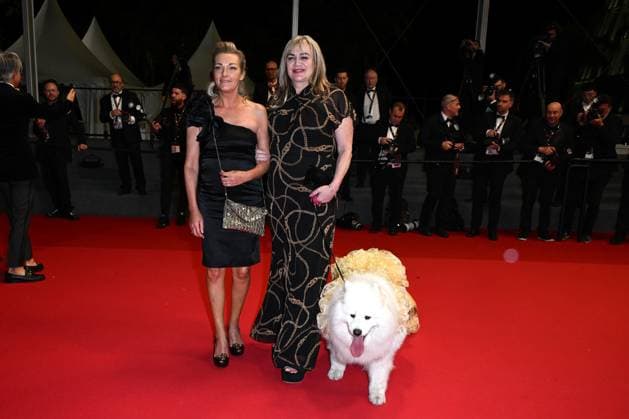 Cannes, 77th Cannes Film Festival 2024, Red carpet of the film Pigen Med Nalen . In the photo: Felicity the dog  Copyright: xSimonexComix xipa-agency.netx xPoolxPhotoxEventsx03x IPA_Agency_IPA46115225